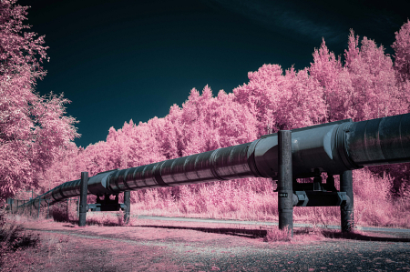 Oil Pipeline