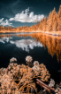 Reflections