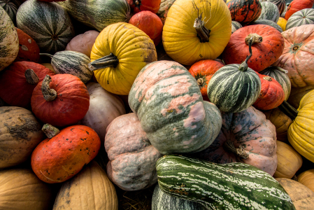 Smorgas-gourd of Color 