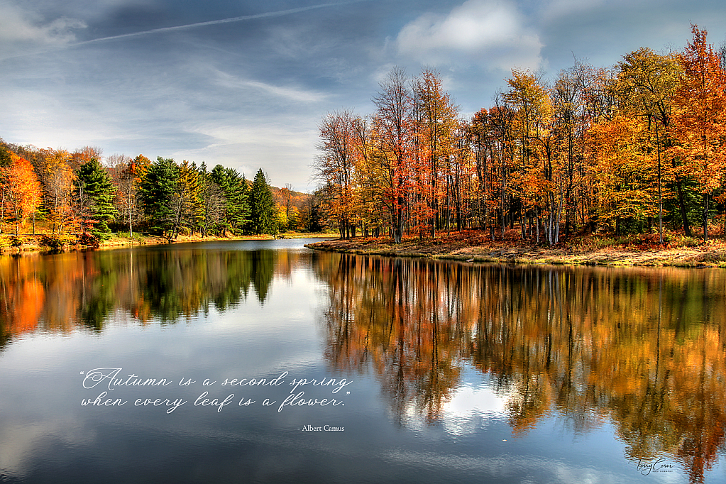 Autumn in Allegany