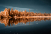 Reflection 