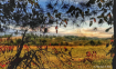 Autumn Landscape 