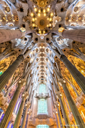 Sagrada Familia Ceiling in Barcelona