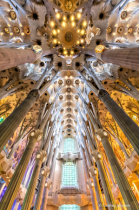 Photography Contest - September 2022: Sagrada Familia Ceiling in Barcelona