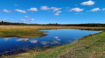 Tuttle Marsh Morn...