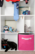 Cat in a shelf