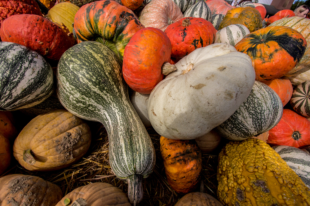 Died and Gourd to Heaven 