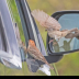 © Leslie J. Morris PhotoID # 16023775: House Finch