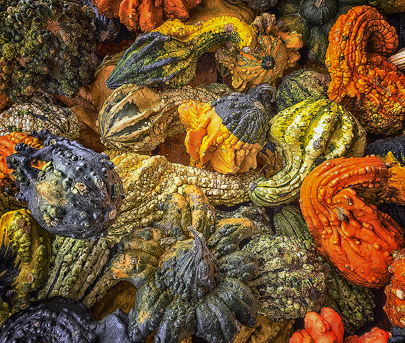 Fall's a comin'! - ID: 16024040 © John D. Jones