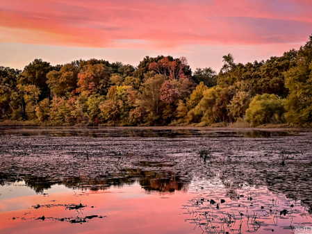 Sunset on the pond