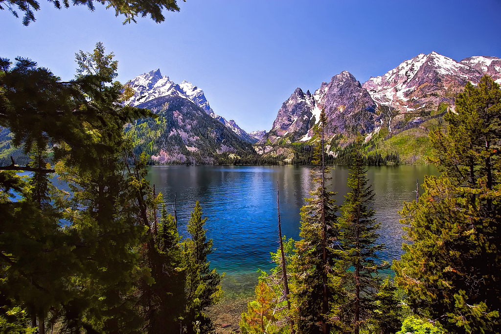 Jenny Lake