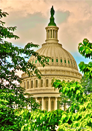 U.S. Capitol Dome 