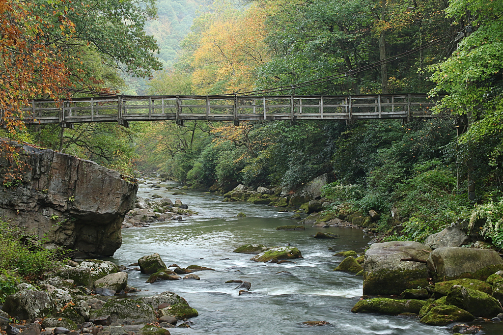 Allegany Footbridge