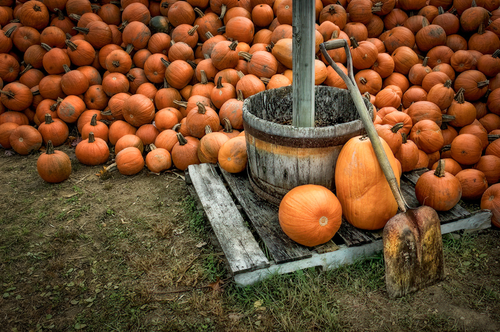 Pumpkin Pile