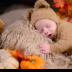 © Rita Hill PhotoID # 16024621: ARHP_0630