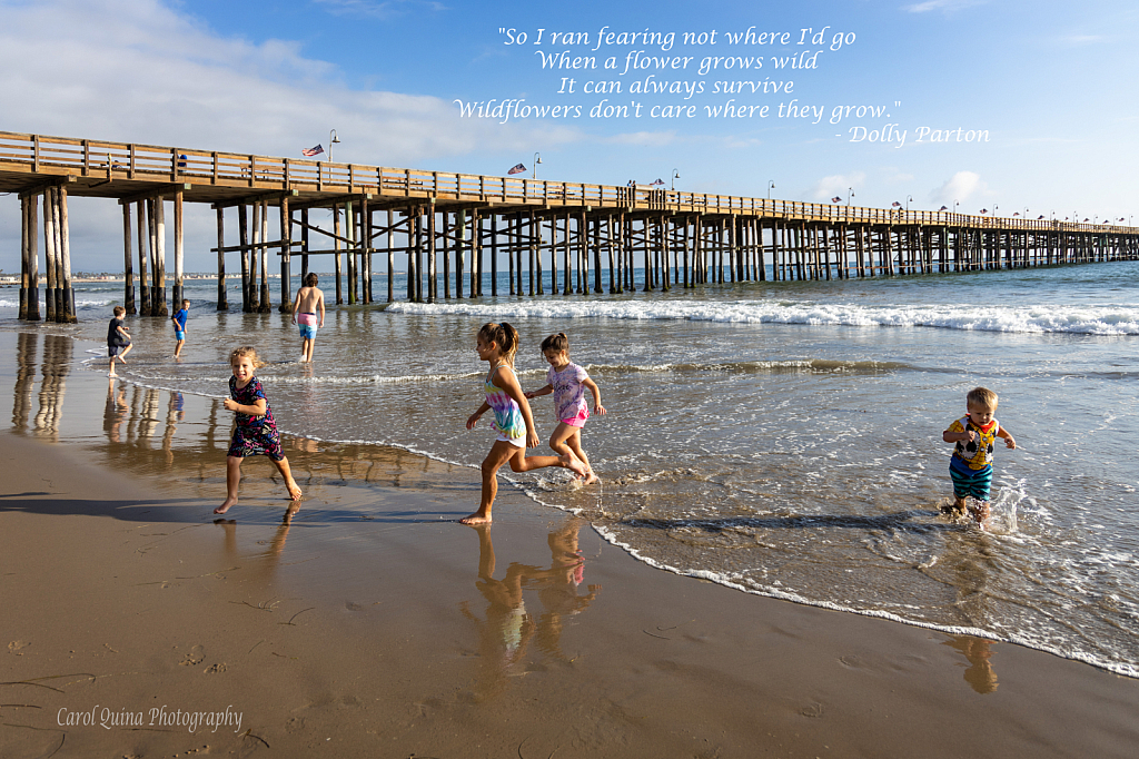 Childhood by the Sea