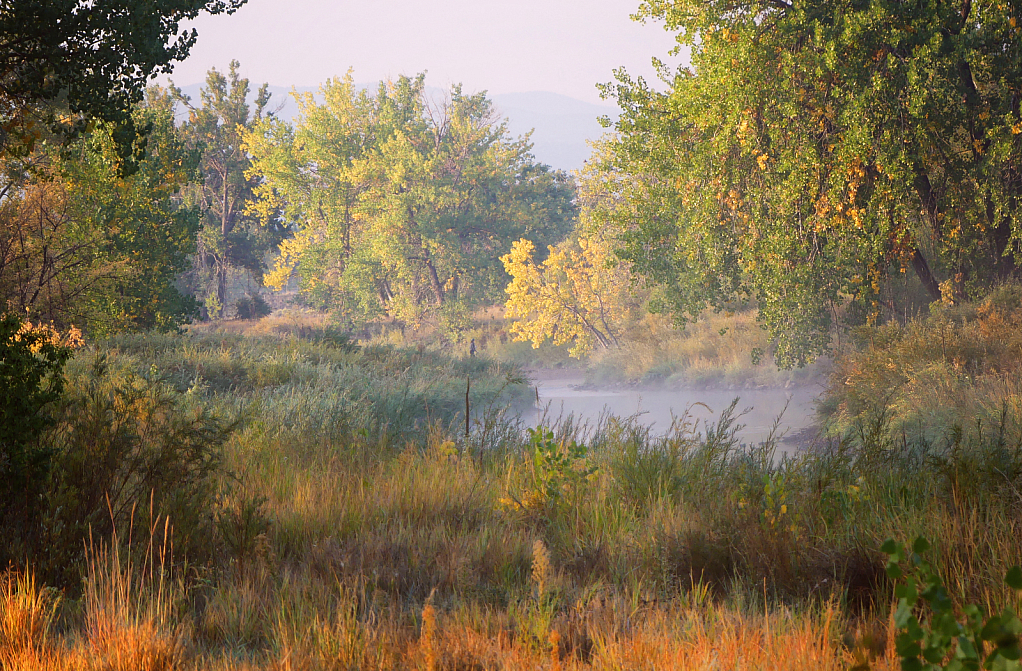 Morning Mist on the River