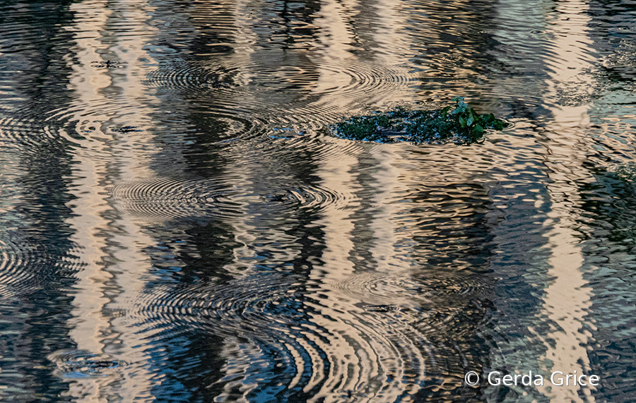 Reflections on Water