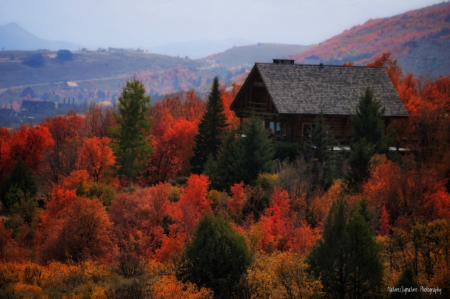 ~ A Cabin In Autumn ~