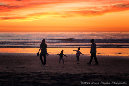 Family Beach Day