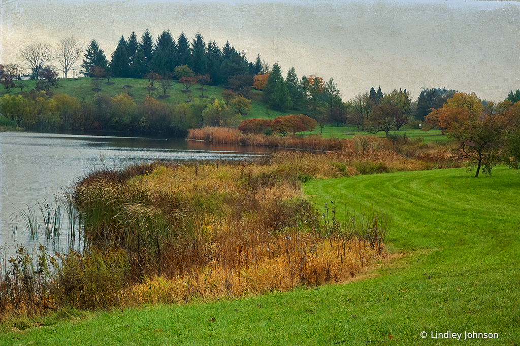 Fall at the Morton Arboretum