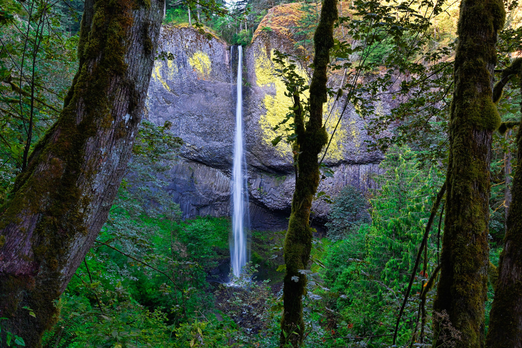 Elowah Falls