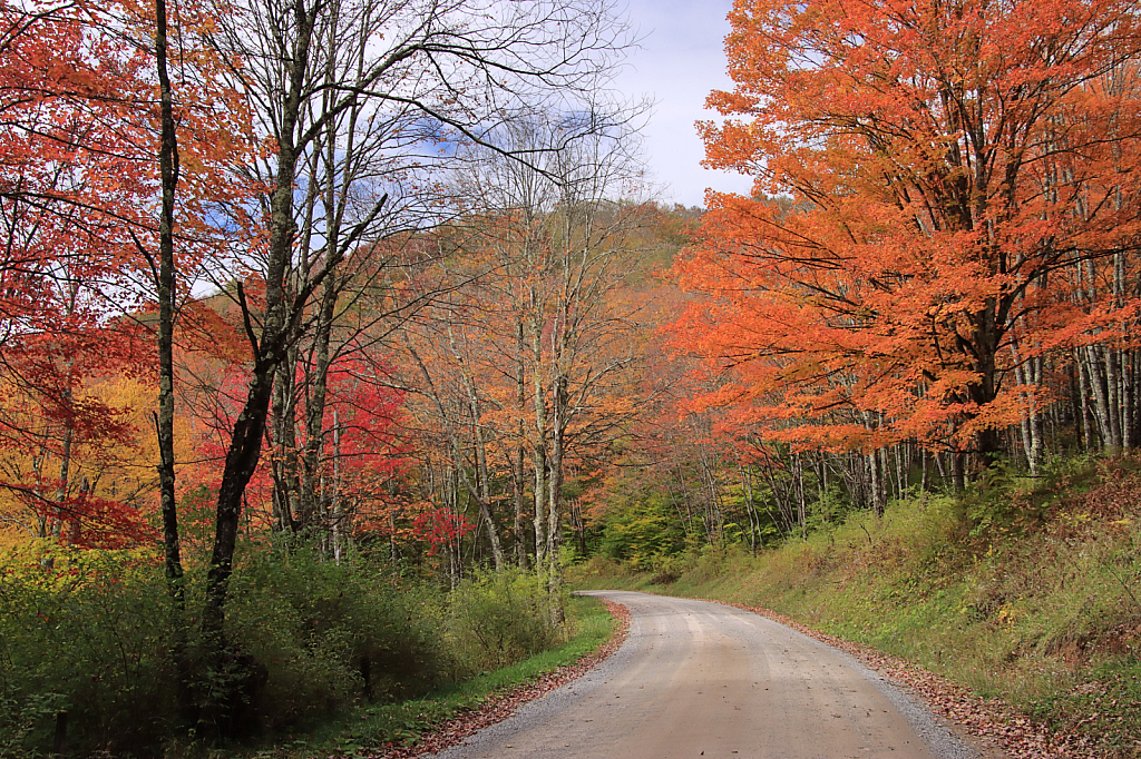 Country Road