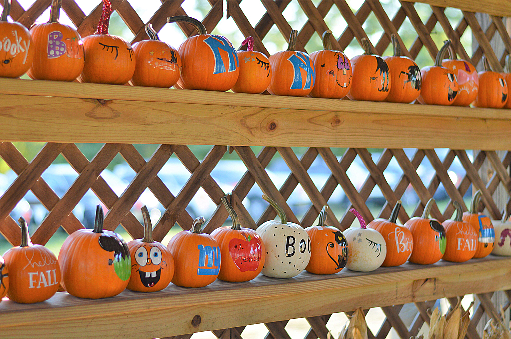 Painted Pumpkins