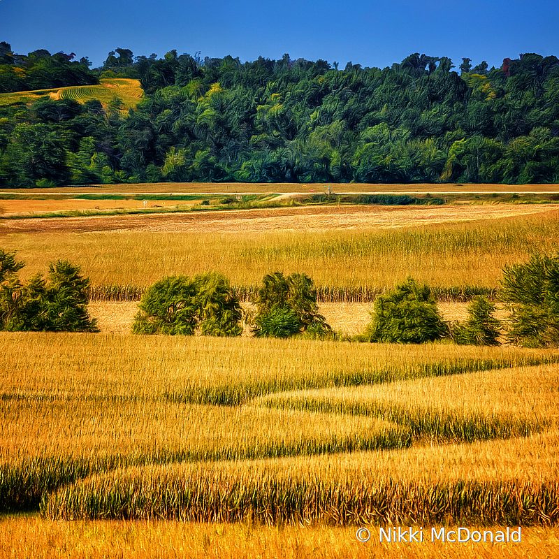 Autumn in the Heartland