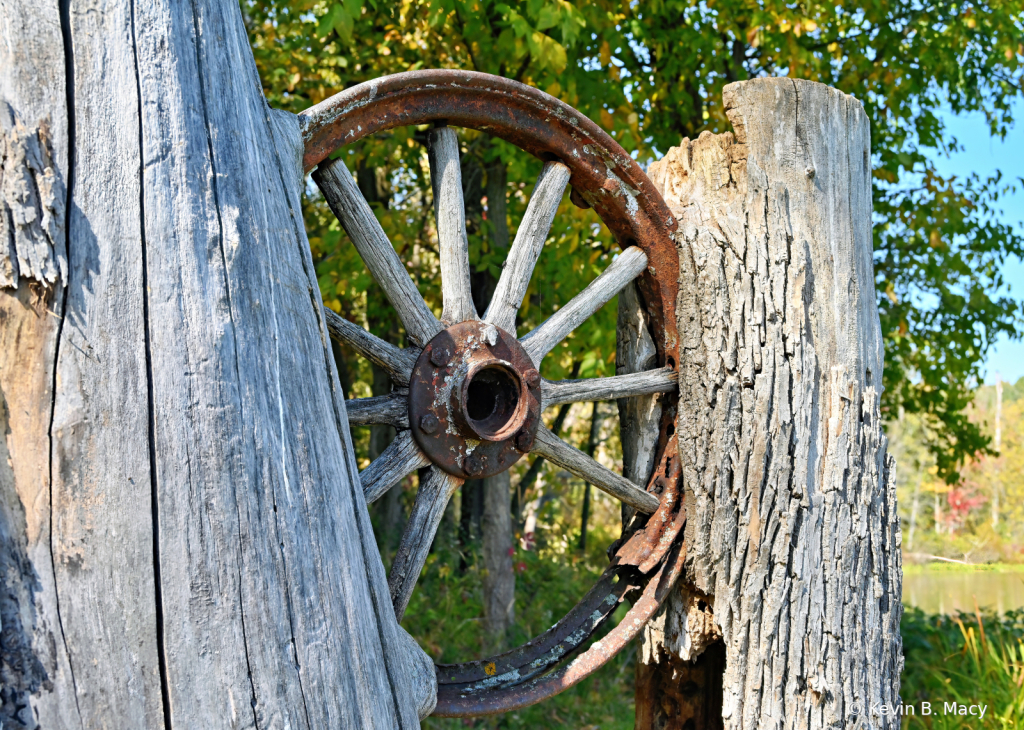 Wheel in Two Trees - ID: 16025168 © Kevin B. Macy