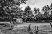 Cades Cove