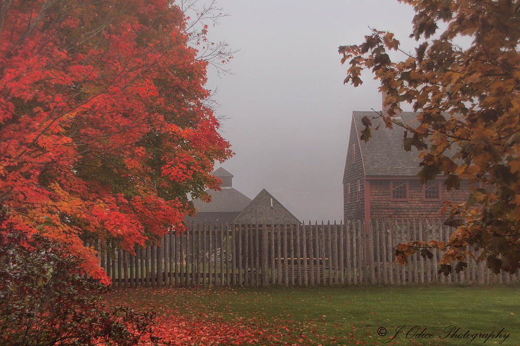 Foggy Fort