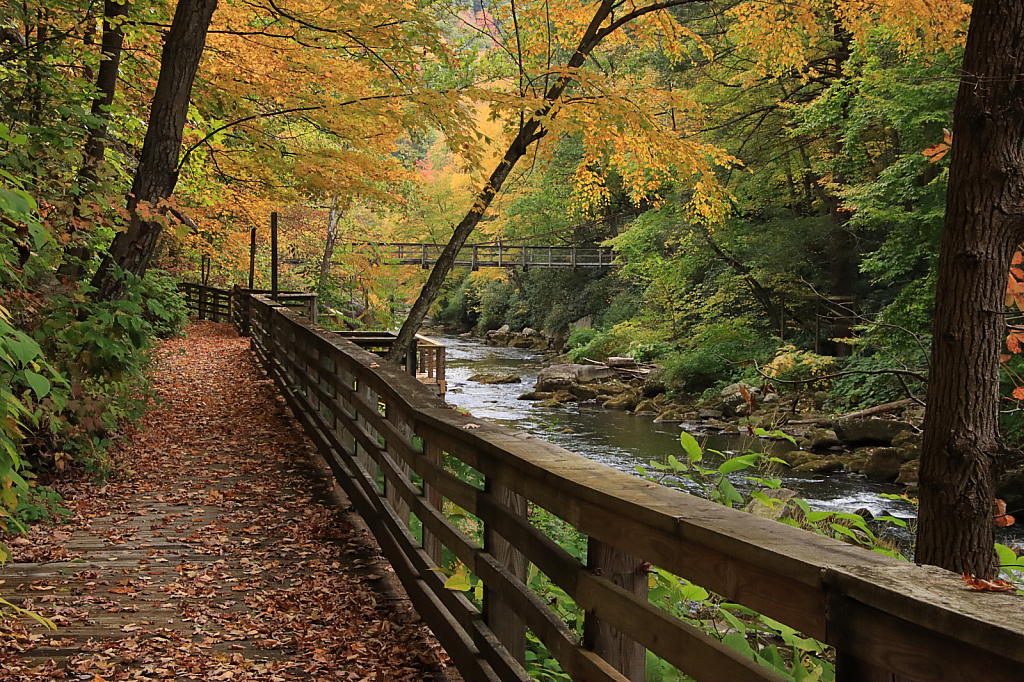 Walkway to Fall