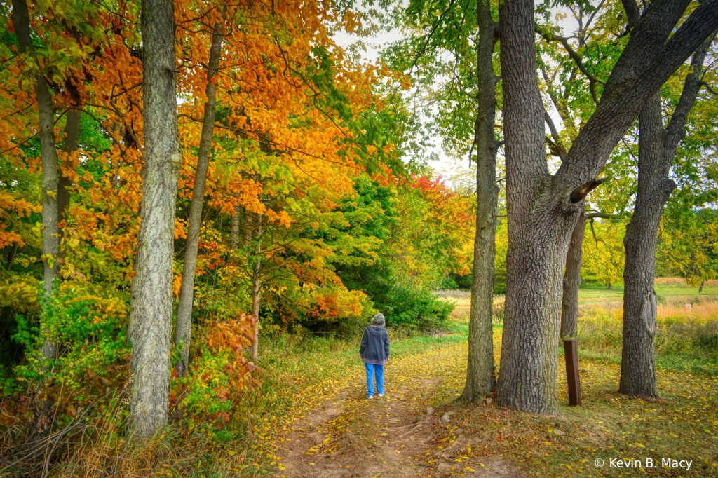 Fall Wonderland - ID: 16026099 © Kevin B. Macy