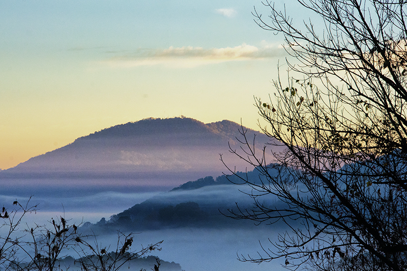 Gently One Morning