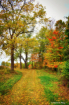 Fall Park Trail 3