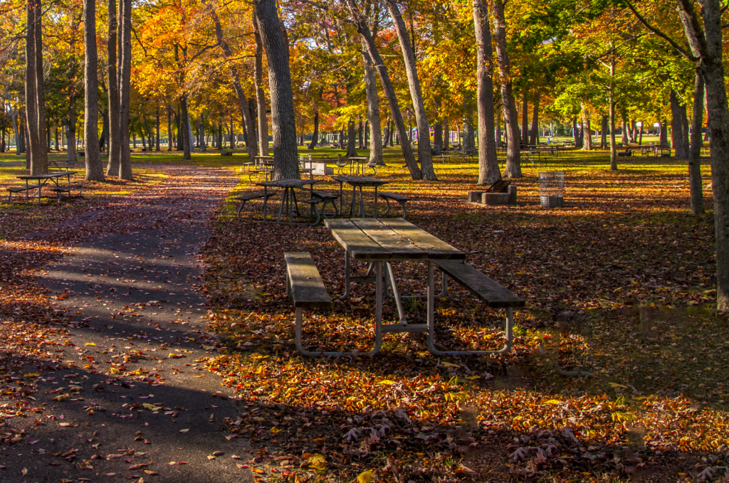 Autumn Picnic