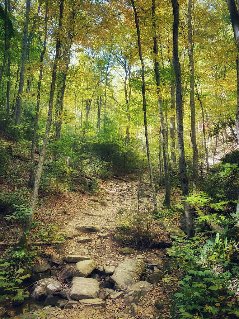 Appalachian Trail