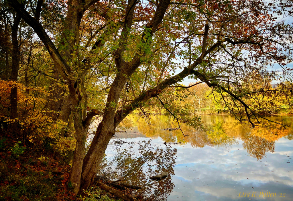 ~October by the Shenandoah~