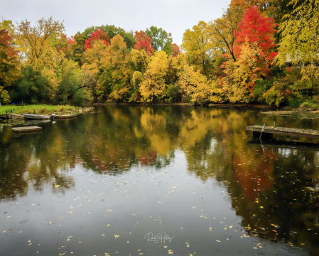 Autumn Colours Black River