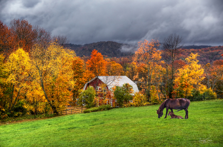 Autumn in Vermont