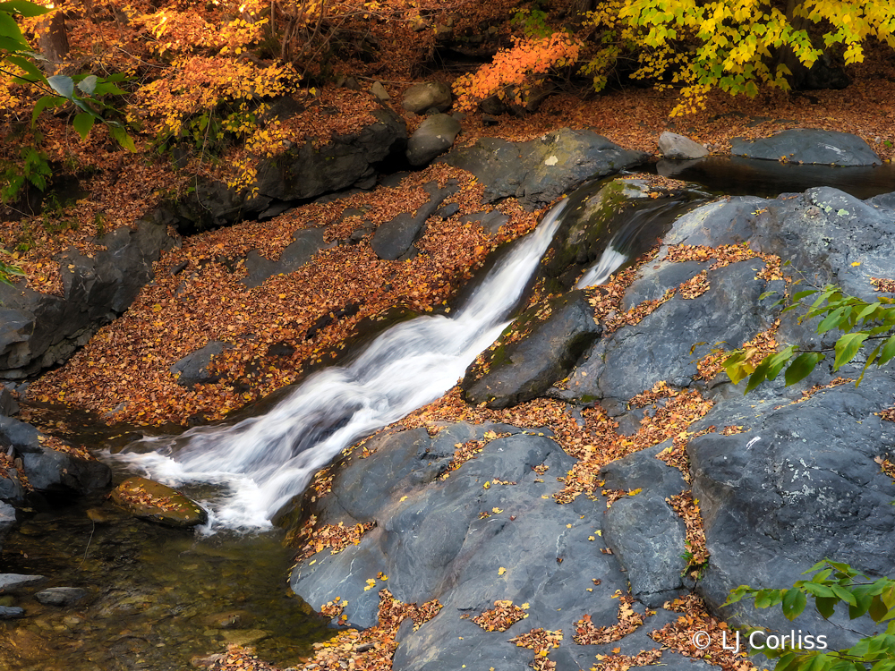 flowing fall