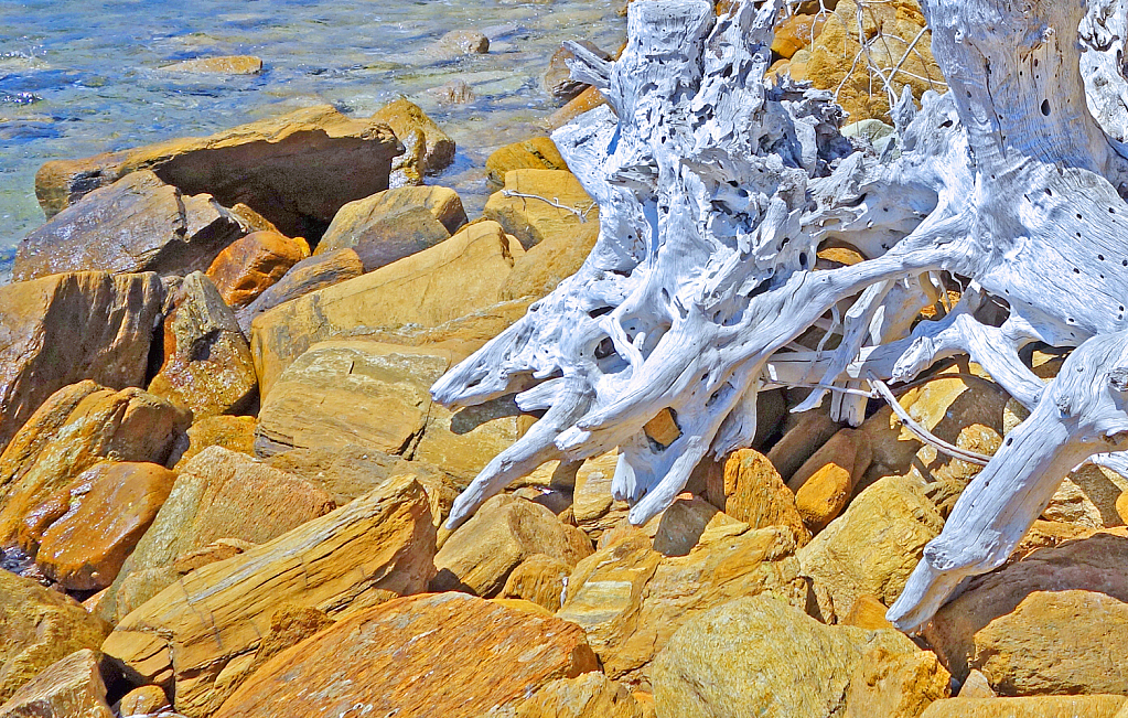 Driftwood on Beach Stones.