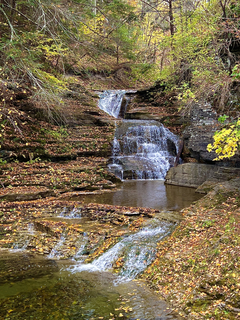 Autumn Falls