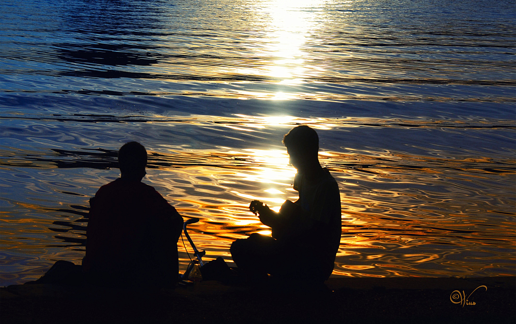 Evening serenade