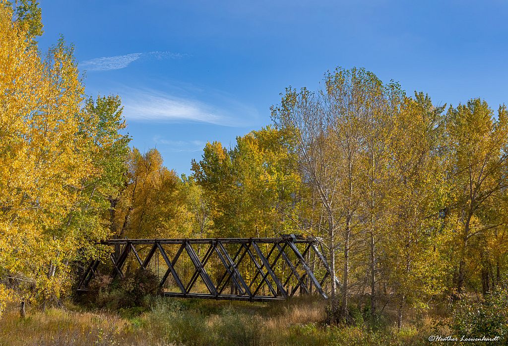 Bridge From The Past