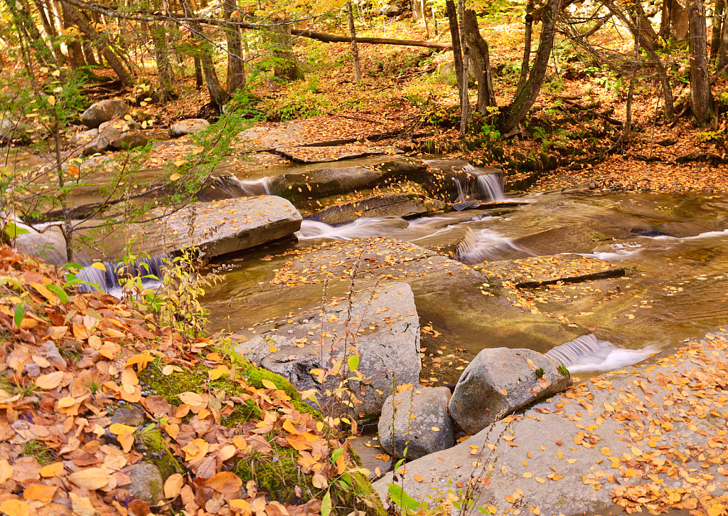 Autumn in Vermont