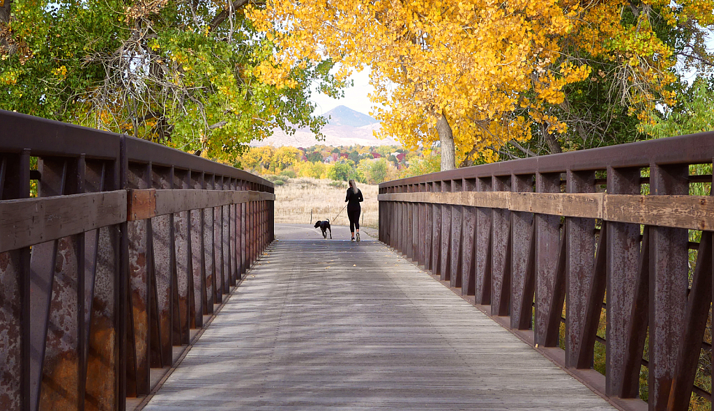 Across the Bridge