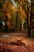 Wagon In The Wood...