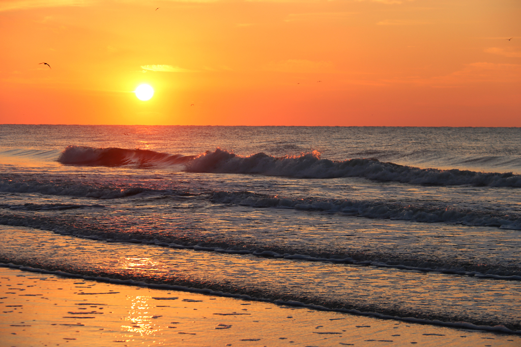 Sunrise at the Beach